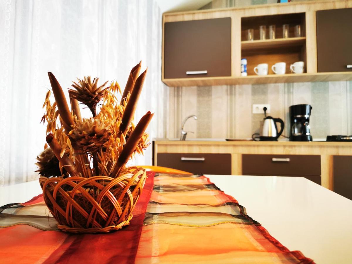 Gruen Haus Studio Sibiu Buitenkant foto